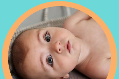 A Cost Comparison: NOLEO® vs. Traditional Diaper Care